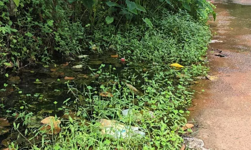 മാ​ലി​ന്യം