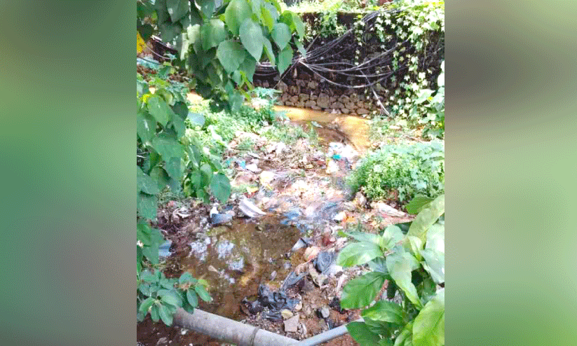 പദ്ധതികൾ പലത്; മറയാതെ മാലിന്യം