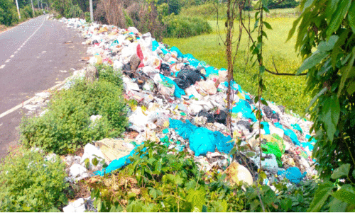കളമശ്ശേരിയിലെ റോഡരികുകളിൽ മാലിന്യം നിറഞ്ഞു