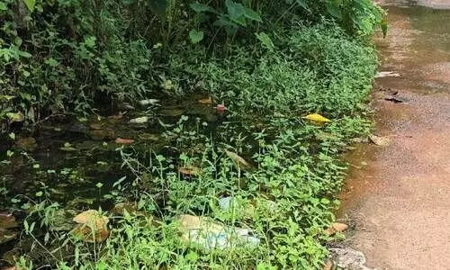 മാ​ലി​ന്യം