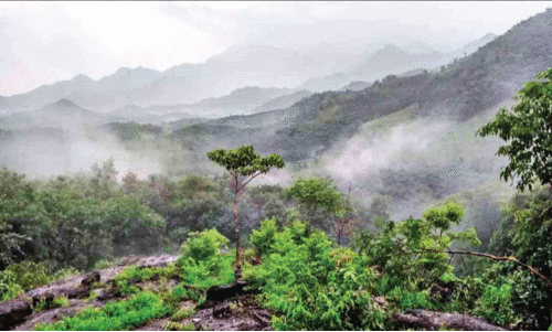 വ​ശ്യ​മ​നോ​ഹ​രം ഉ​പ്പു​കു​ളം മ​ല​യോ​രം