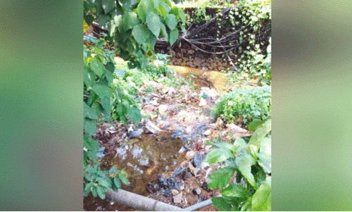 പദ്ധതികൾ പലത്; മറയാതെ മാലിന്യം