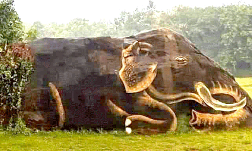 ആ​ന​പ്പാ​റ