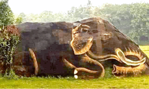 ആ​ന​പ്പാ​റ