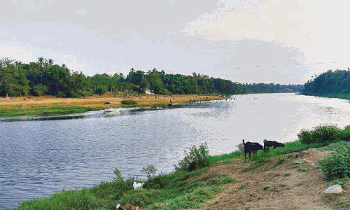 Rain came to cool the soil and mind, and worries