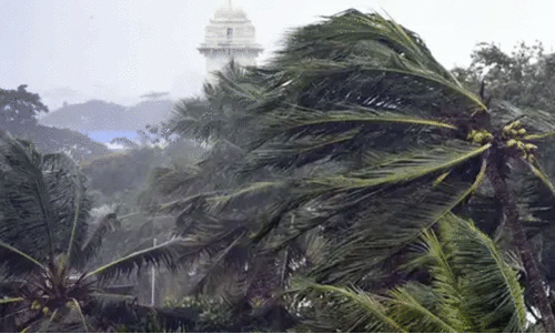 Summer rains: Farmers afraid of wind