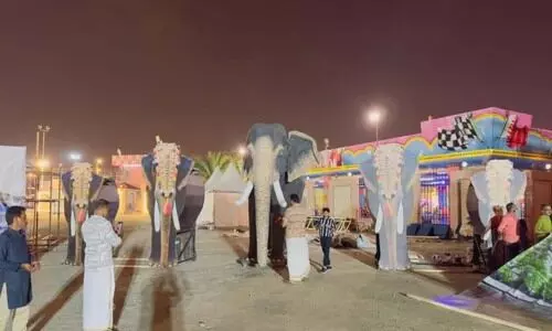 അ​ധാ​രി പാ​ർ​ക്കി​ൽ ഇ​ന്ന് പൂ​ര​ങ്ങ​ളു​ടെ പൂ​രം