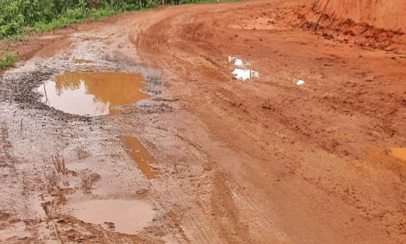 muddy road muddy road