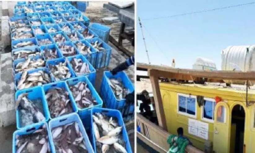 അ​ന​ധി​കൃ​ത മ​ത്സ്യ​ബ​ന്ധ​നം; നാ​ല് പ്ര​വാ​സി​ക​ൾ അ​റ​സ്​​റ്റി​ൽ