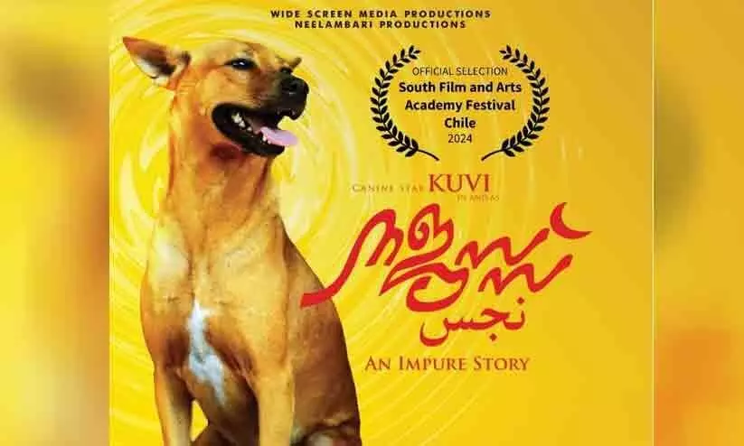 നജസ്സ് ചിലി  അന്താരാഷ്ട്ര ചലച്ചിത്രമേളയിൽ