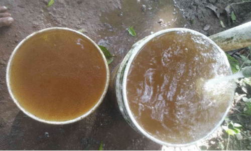 മലിനജലം