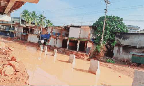 waterlogging waterlogging