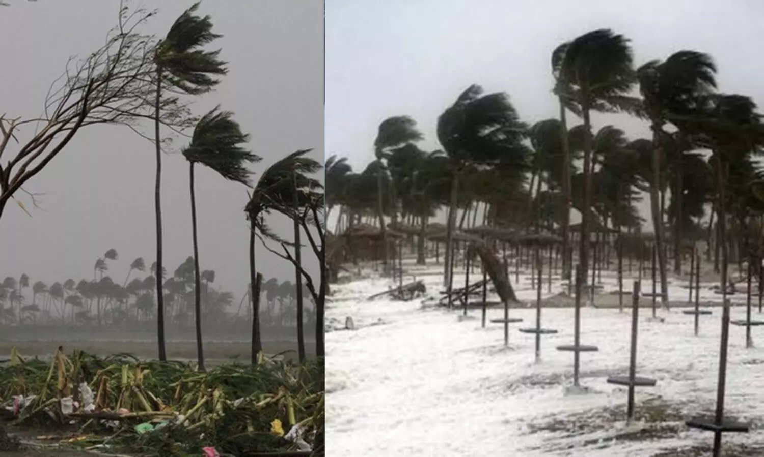 ശക്തമായ കാറ്റിനെ നേരിടാനുള്ള പൊതുജാഗ്രത നിർദേശങ്ങൾ പുറത്തിറക്കി