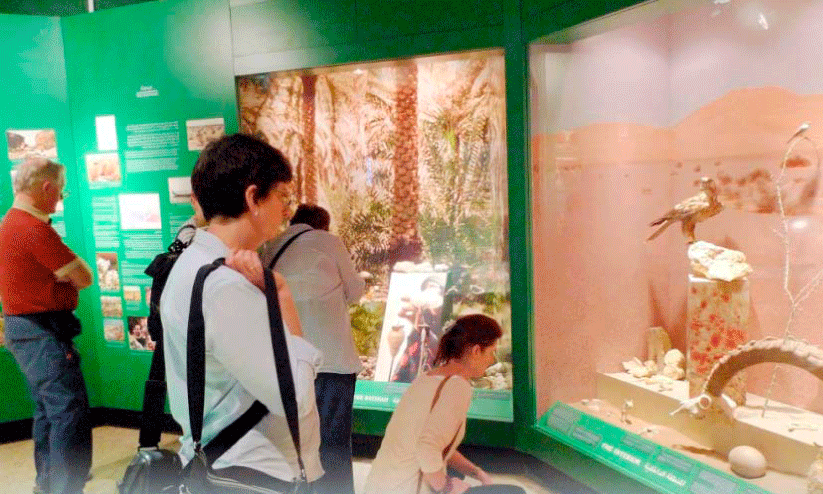 International Museum Day celebrated; Six lakh visitors last year International Museum Day celebrated; Six lakh visitors last year