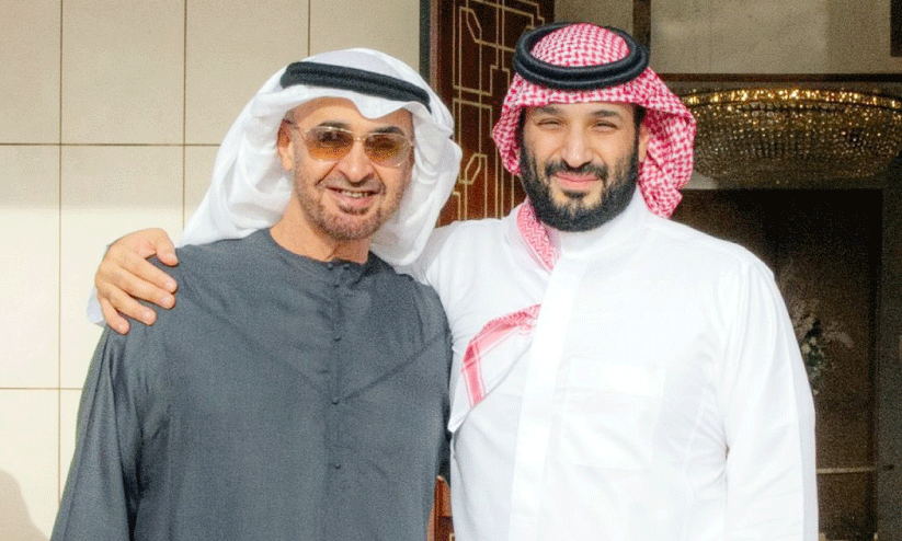 Sheikh Muhammad had a discussion with the Saudi heir to the crown
