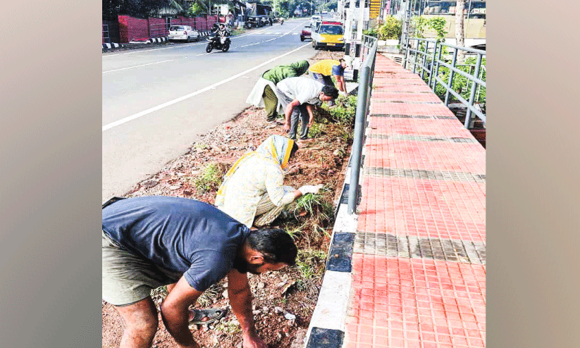 pre-monsoon cleaning pre-monsoon cleaning
