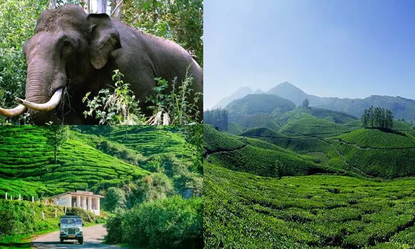 ഇടുക്കിയിലെ മലയോര മേഖലകളിൽ രാത്രി യാത്ര നിരോധിച്ചു ഇടുക്കിയിലെ മലയോര മേഖലകളിൽ രാത്രി യാത്ര നിരോധിച്ചു