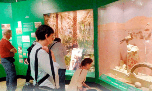 International Museum Day celebrated; Six lakh visitors last year