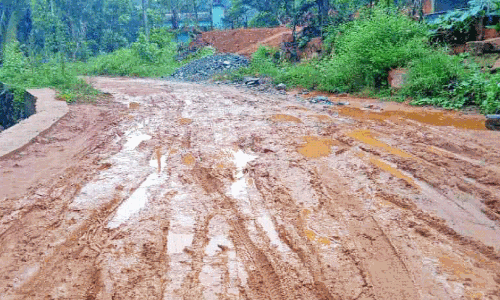 തകർന്ന പി​ലാ​ക്കാ​വ്-​വി​ള​നി​ലം റോഡ്