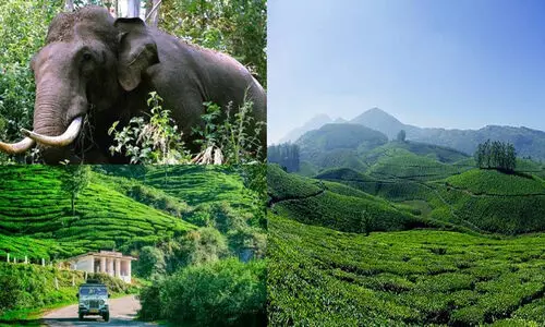 ഇടുക്കിയിലെ മലയോര മേഖലകളിൽ രാത്രി യാത്ര നിരോധിച്ചു