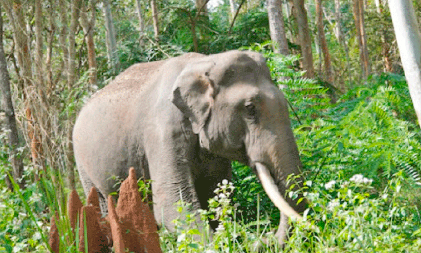 Enumeration Enumeration