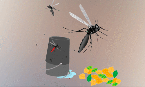 പകർച്ചവ്യാധി തടയാൻ  ‘പ്ര​ഥ​മം പ്ര​തി​രോ​ധം’ 27 മു​ത​ൽ