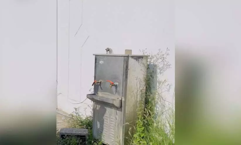 കെട്ടിടങ്ങൾക്ക്​ പുറത്തെ പൊതു ടാപ്പുകളുടെ സുരക്ഷ പരിശോധന നടത്തി