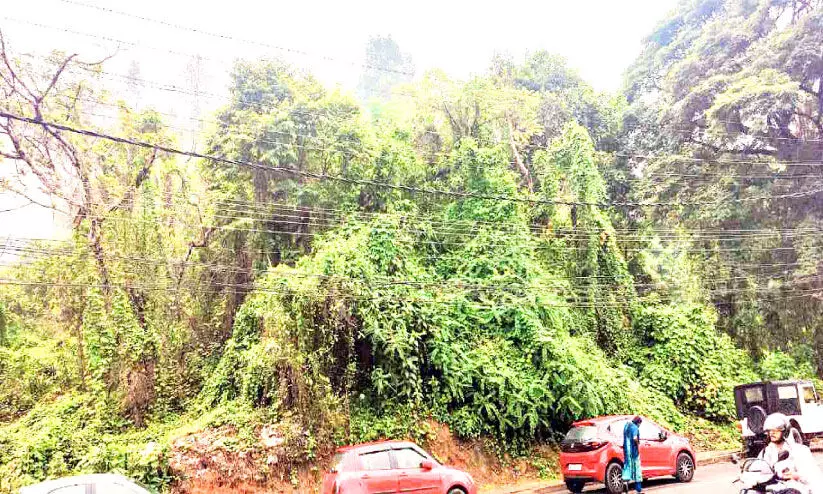 മഴകനത്തു; മണ്ണിടിച്ചിൽ ഭീതിയിൽ ജനങ്ങൾ