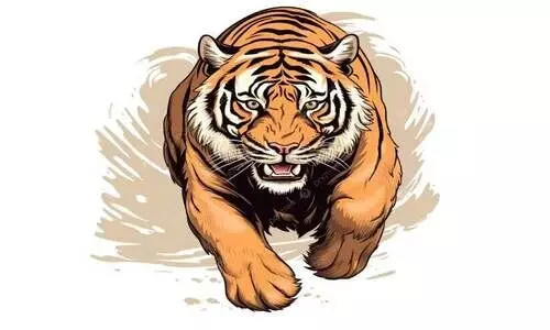 വ​ന്യ​ജീ​വി ആ​ക്ര​മ​ണം: വി​ശ​ദ റി​പ്പോ​ര്‍ട്ട് ആ​വ​ശ്യ​പ്പെ​ട്ട് ന്യൂ​ന​പ​ക്ഷ ക​മീ​ഷ​ന്‍