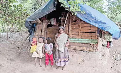 റേഷൻ കാർഡില്ലാതെ ആദിവാസി കുടുംബങ്ങൾ; ആനുകൂല്യങ്ങൾ നഷ്ടമാകുന്നു