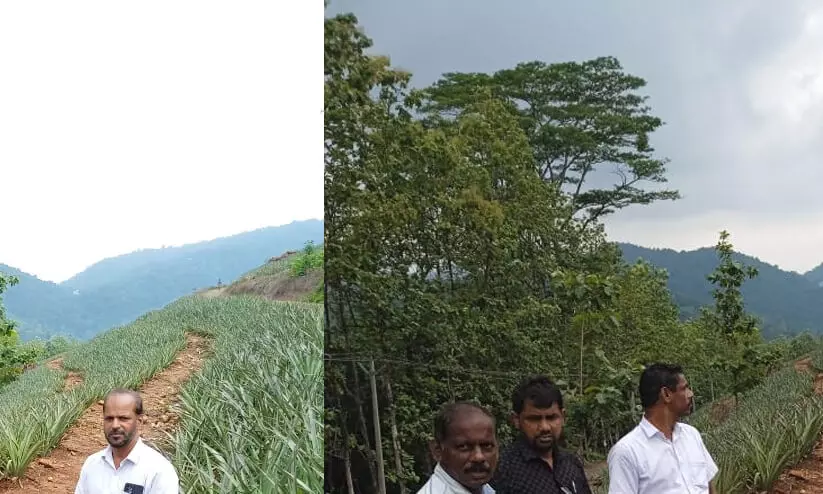 ടി.ആർ ആൻഡ് ടീ ഹാജരാക്കിയ രേഖകളിൽ ഇപ്പോഴത്തെ കൈവശക്കാരുടെ പേരുകളില്ലെന്ന് റിപ്പോർട്ട് ടി.ആർ ആൻഡ് ടീ ഹാജരാക്കിയ രേഖകളിൽ ഇപ്പോഴത്തെ കൈവശക്കാരുടെ പേരുകളില്ലെന്ന് റിപ്പോർട്ട്