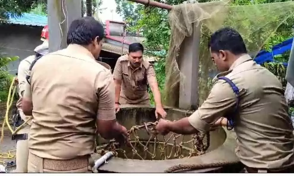 fire force 08979 fire force 08979