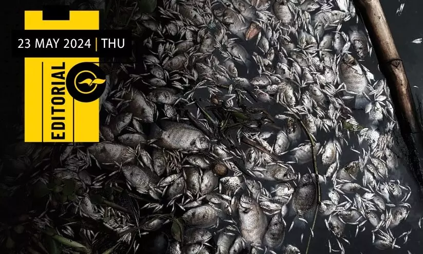 പെരിയാറിൽ വീണ്ടും വിഷമൊഴുകുമ്പോൾ പെരിയാറിൽ വീണ്ടും വിഷമൊഴുകുമ്പോൾ