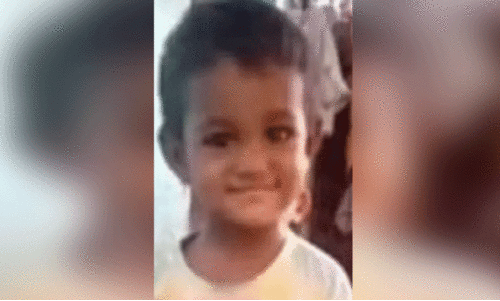 തെരുവ് നായ്ക്കളുടെ ആക്രമണത്തിൽ നാലുവയസ്സുകാരിക്ക് ദാരുണാന്ത്യം തെരുവ് നായ്ക്കളുടെ ആക്രമണത്തിൽ നാലുവയസ്സുകാരിക്ക് ദാരുണാന്ത്യം