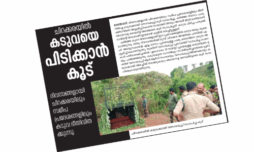 10 days after nesting: Tiger circling