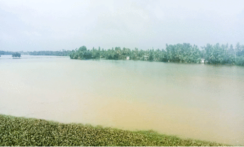 ആലപ്പുഴയിൽ ശക്തമായ മഴക്ക് നേരിയ ശമനം; പലയിടത്തും വെള്ളക്കെട്ട് ആലപ്പുഴയിൽ ശക്തമായ മഴക്ക് നേരിയ ശമനം; പലയിടത്തും വെള്ളക്കെട്ട്