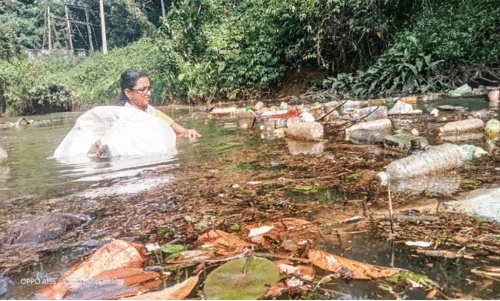 കൈയടിക്കാം ലയ സൂപ്പറാണ്