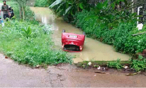 The car overturned into the ditch The car overturned into the ditch