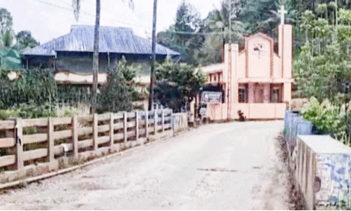 കുടുംബത്തെ മാറ്റിപ്പാർപ്പിക്കാനായില്ല; ഇരുപതേക്കർ പാലം നിർമാണം അനിശ്ചിതത്വത്തിൽ