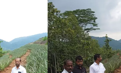 ടി.ആർ ആൻഡ് ടീ ഹാജരാക്കിയ രേഖകളിൽ ഇപ്പോഴത്തെ കൈവശക്കാരുടെ പേരുകളില്ലെന്ന് റിപ്പോർട്ട്