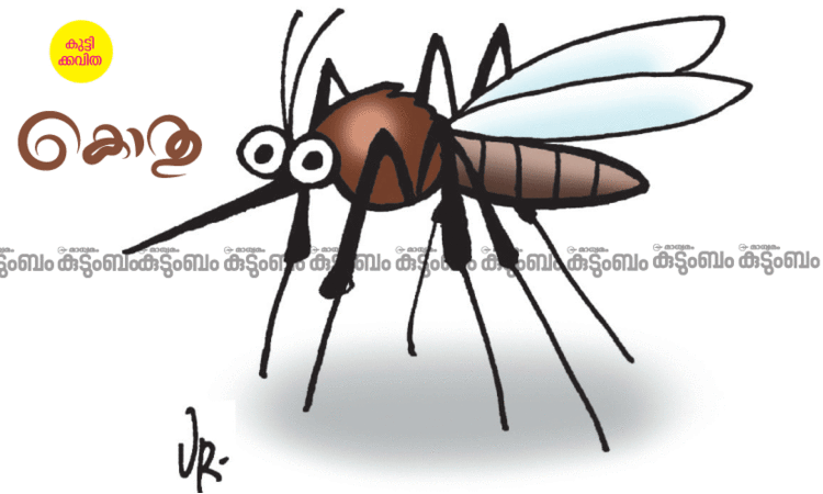 കുട്ടിക്കവിത: കൊതു