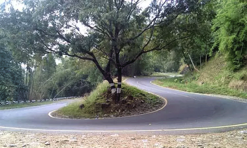 ടൂറിസ്റ്റ് കേന്ദ്രങ്ങളിലെ ശുചിത്വം പദ്ധതി; നാടുകാണി ചുരം മാലിന്യമുക്തമാക്കാൻ നടപടി തുടങ്ങി ടൂറിസ്റ്റ് കേന്ദ്രങ്ങളിലെ ശുചിത്വം പദ്ധതി; നാടുകാണി ചുരം മാലിന്യമുക്തമാക്കാൻ നടപടി തുടങ്ങി