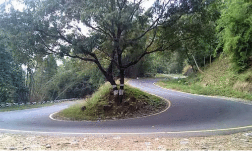 ടൂറിസ്റ്റ് കേന്ദ്രങ്ങളിലെ ശുചിത്വം പദ്ധതി; നാടുകാണി ചുരം മാലിന‍്യമുക്തമാക്കാൻ നടപടി തുടങ്ങി