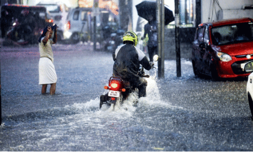 തുടർച്ചയായി ശക്തമായ മഴ; പടിഞ്ഞാറൻ കൊച്ചി മേഖലയിൽ കനത്ത വെള്ളക്കെട്ട് തുടർച്ചയായി ശക്തമായ മഴ; പടിഞ്ഞാറൻ കൊച്ചി മേഖലയിൽ കനത്ത വെള്ളക്കെട്ട്
