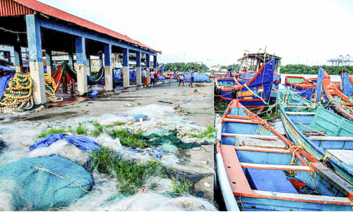 കടല്‍ തണുക്കുന്നു; പ്രതീക്ഷയോടെ മത്സ്യബന്ധന മേഖല