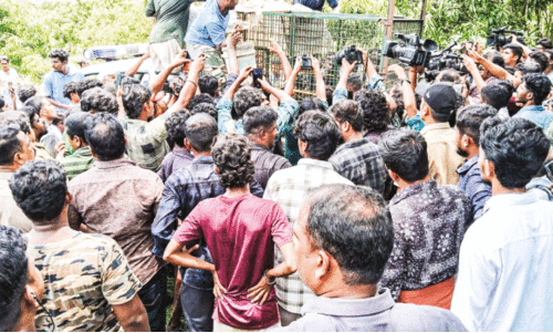 Illegal trapping of wild animals is rampant Illegal trapping of wild animals is rampant