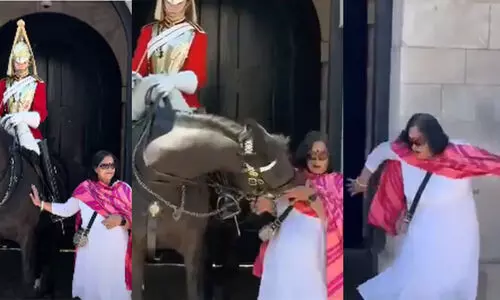 Kings Guard horse attack