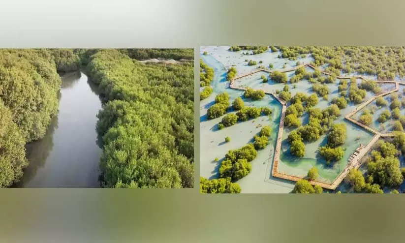 Protected wetlands Protected wetlands