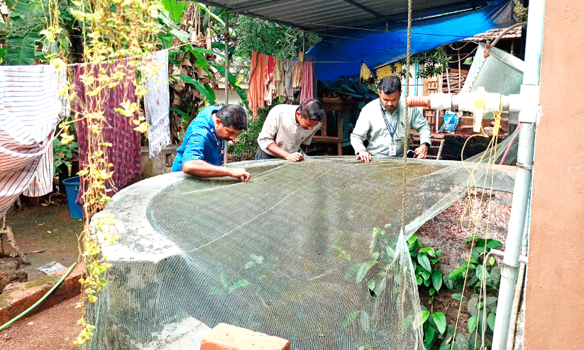 Jaundice spreading in Chapparapadavu
