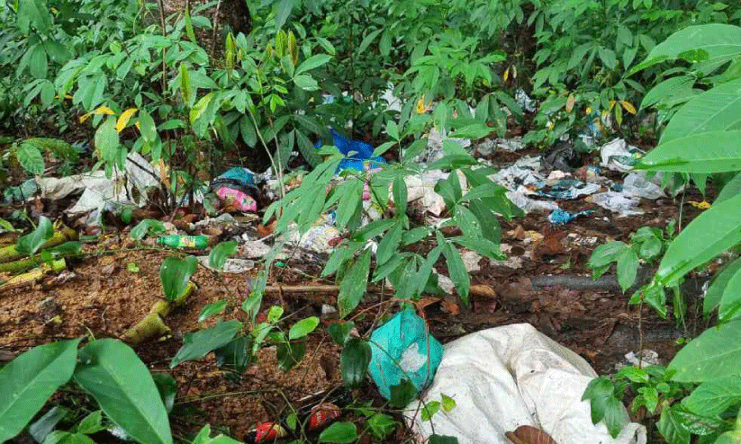 Private garbage and wild boar nuisance threats